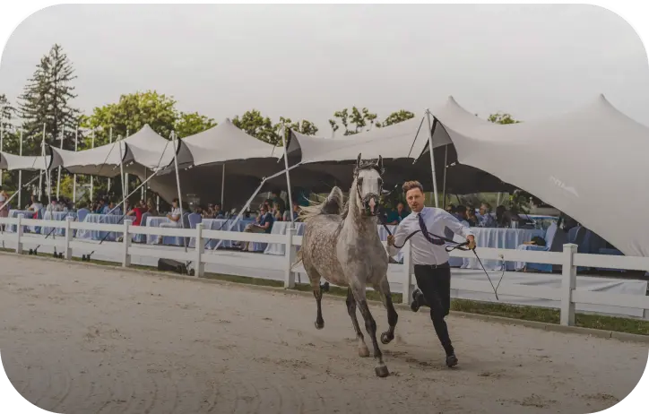 Eventos deportivos